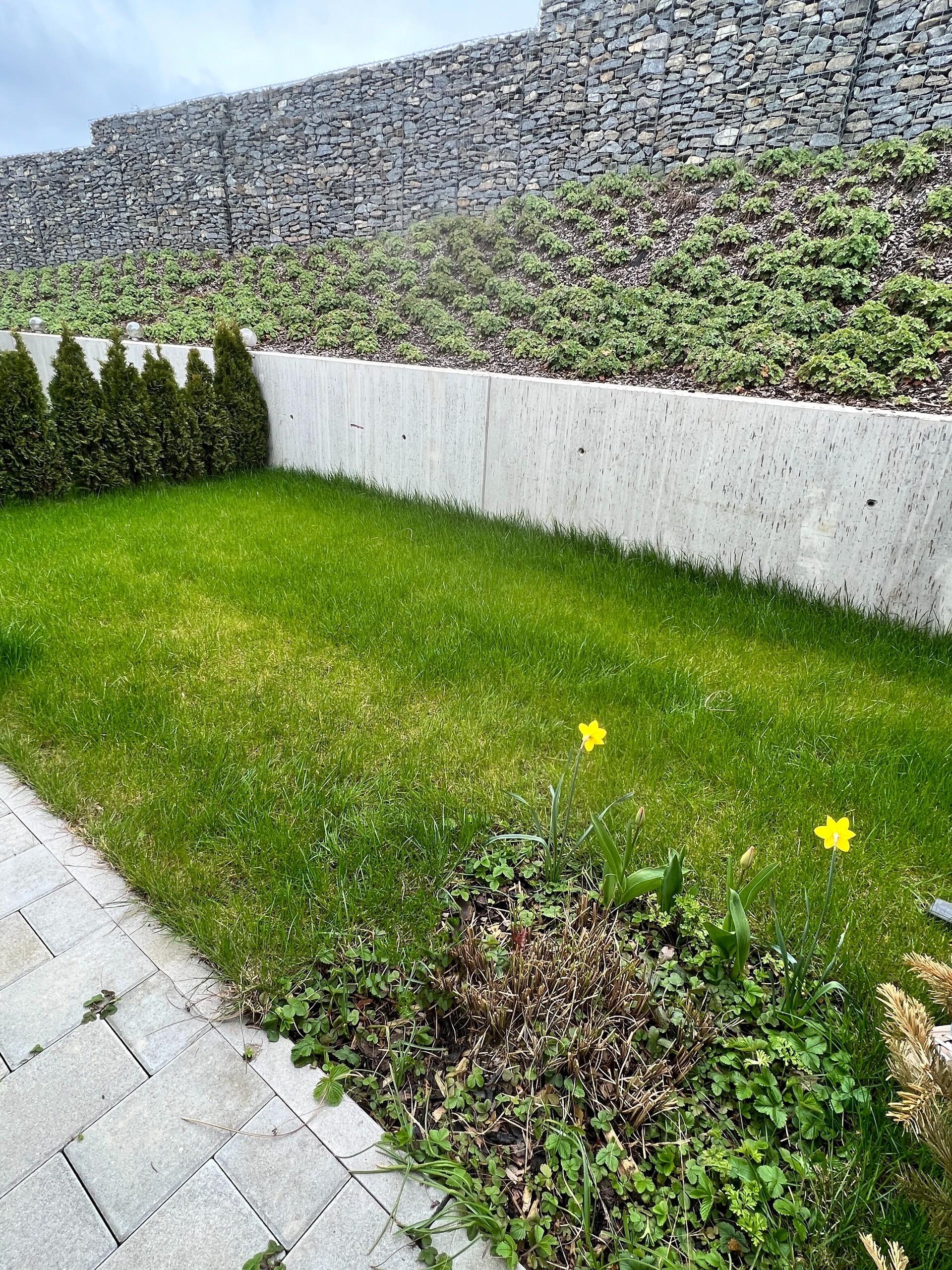 Garten-Terrasse